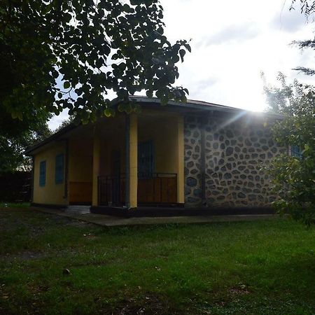 Chef Wondim Backpackers Hostel Gondar Dış mekan fotoğraf