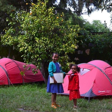 Chef Wondim Backpackers Hostel Gondar Dış mekan fotoğraf