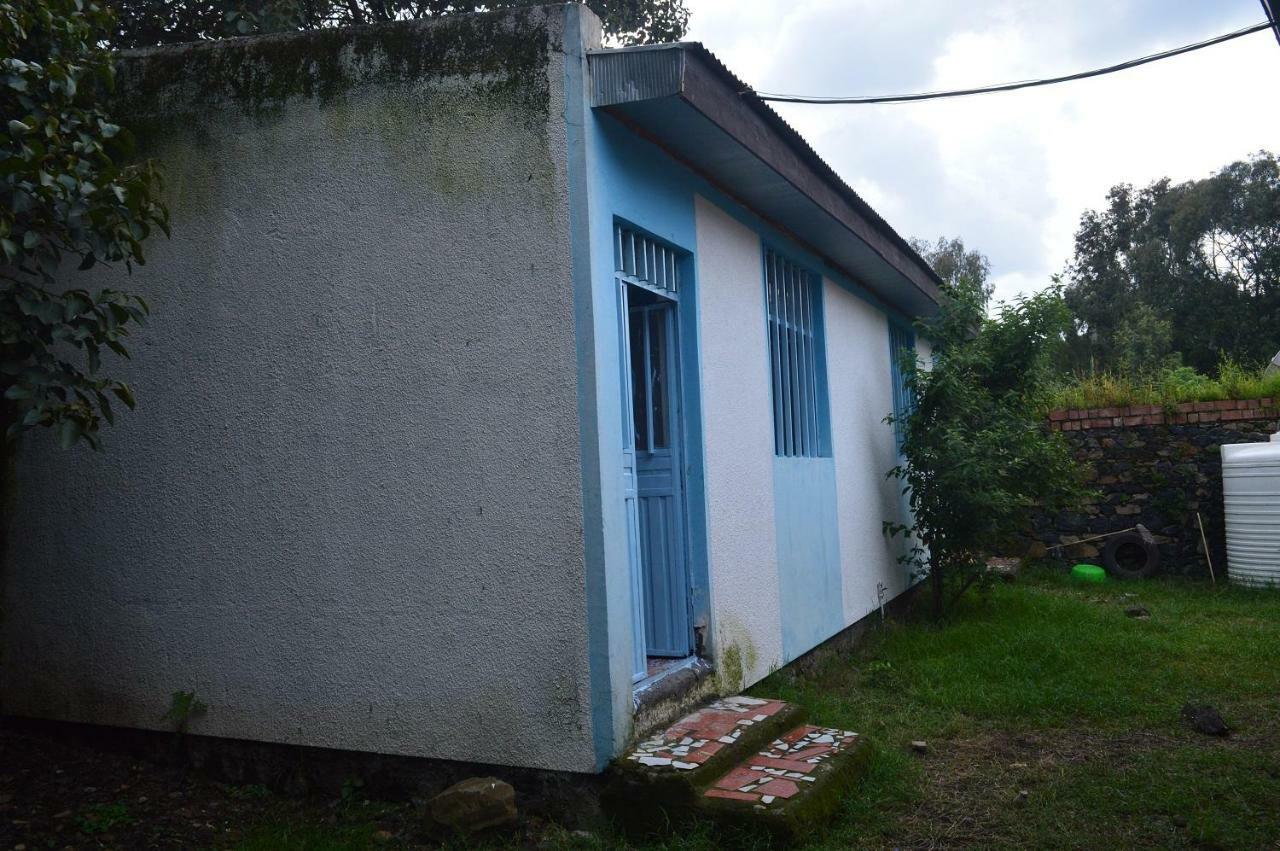 Chef Wondim Backpackers Hostel Gondar Dış mekan fotoğraf
