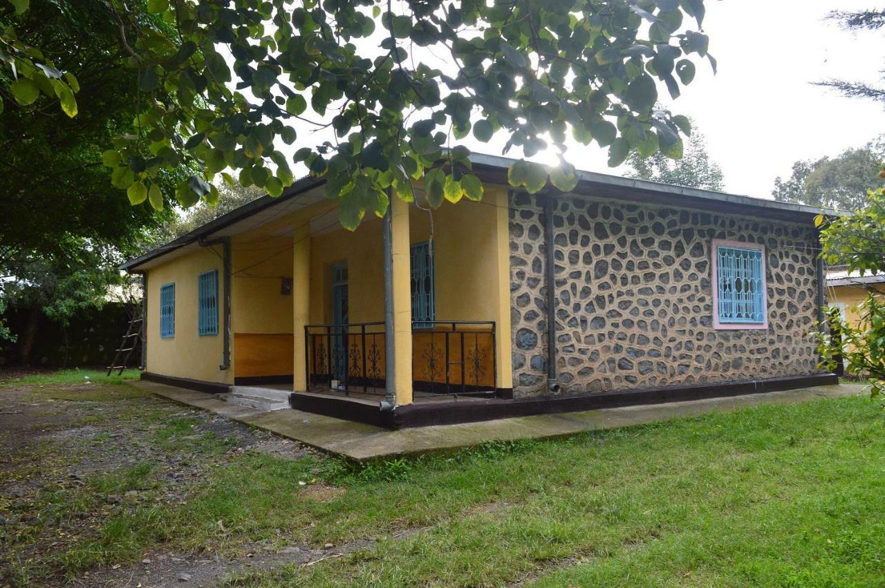 Chef Wondim Backpackers Hostel Gondar Dış mekan fotoğraf