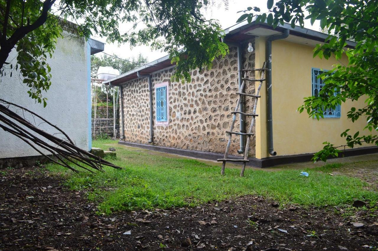 Chef Wondim Backpackers Hostel Gondar Dış mekan fotoğraf
