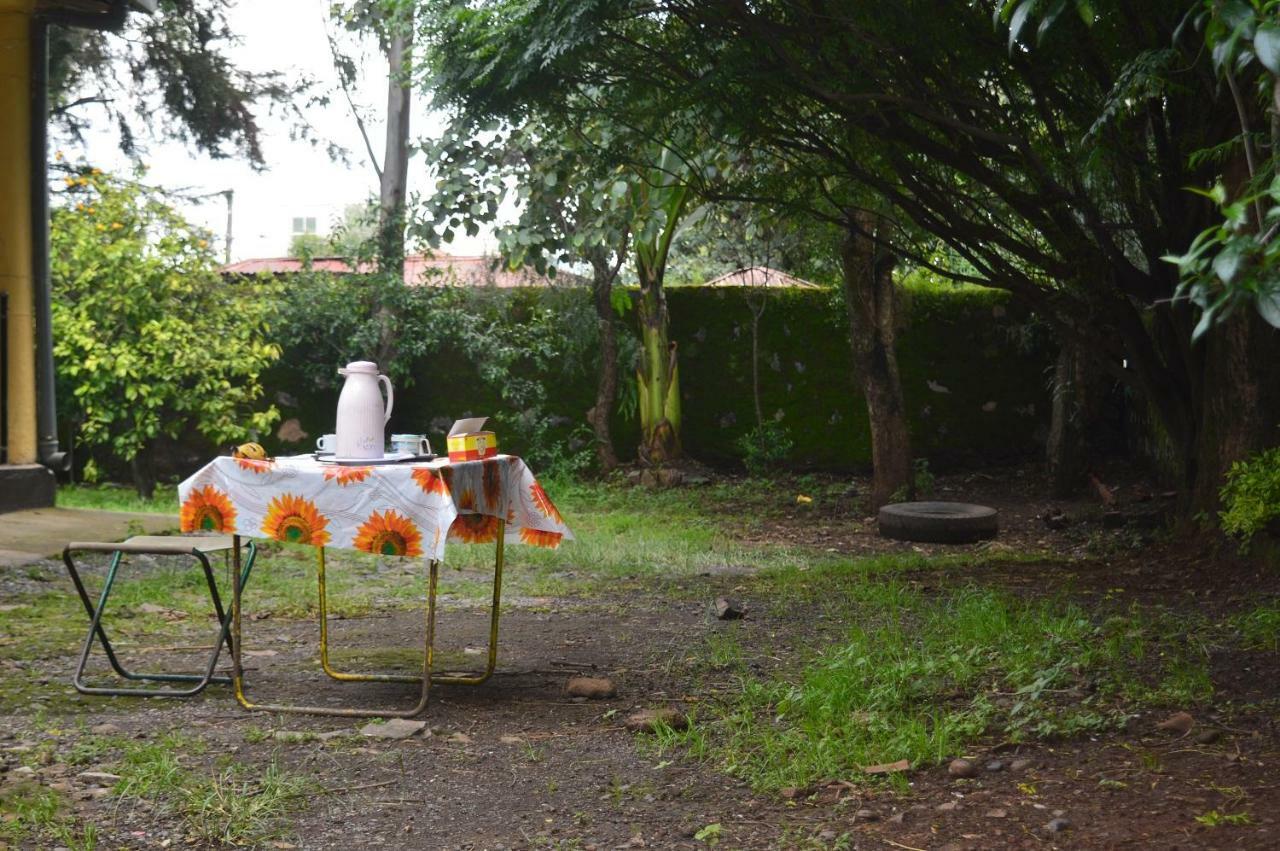 Chef Wondim Backpackers Hostel Gondar Dış mekan fotoğraf